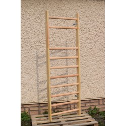 Drabinka bukowo-sosnowa 